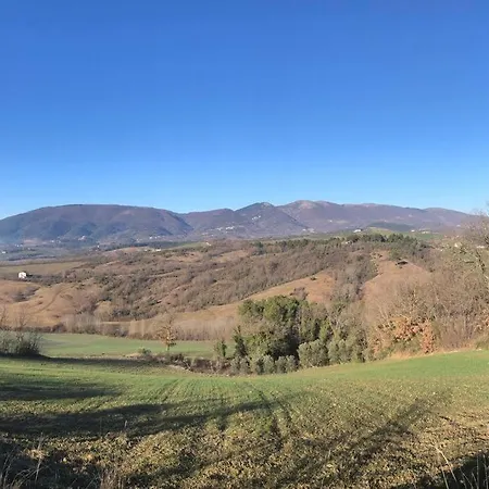 Vecchio Frantoio Residenza Leccino Daire